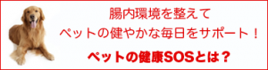 petkenkou