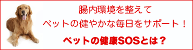 petkenkou