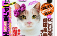 ねこ自身表紙