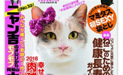 ねこ自身表紙
