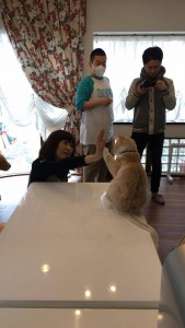 まろん校長撮影隊