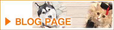 blogpage2